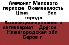 Аммонит Мелового периода. Окаменелость. › Цена ­ 2 800 - Все города Коллекционирование и антиквариат » Другое   . Нижегородская обл.,Саров г.